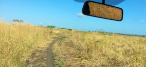 Driving to the interior - The trail to Ndera
